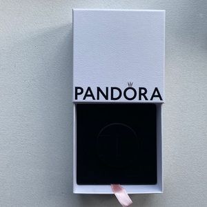 NWT - Pandora box